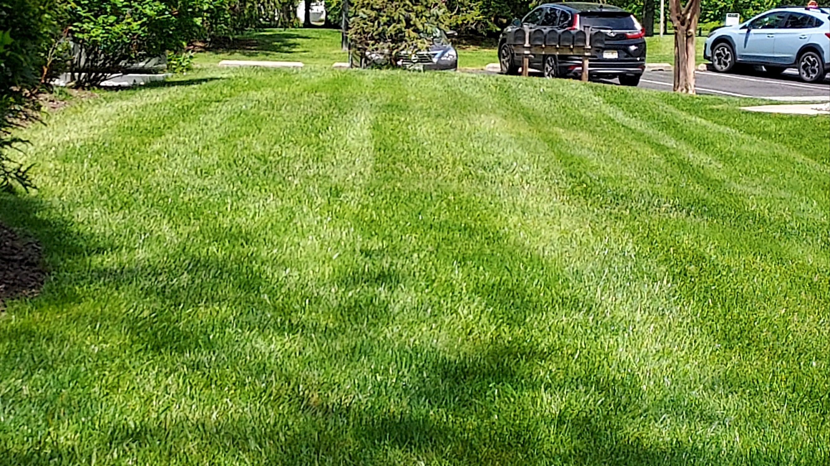 Downingtown, PA #1 Lawn Care Company - Green Lawn Fertilizing